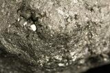 Chunk Of Golden Pyrite (Fools Gold) - Peru #50086-1